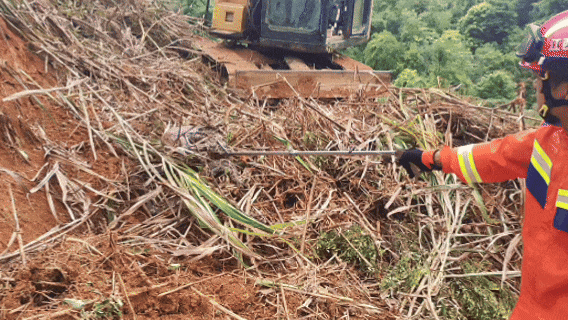 Đang dọn cỏ, người đàn ông lạnh gáy khi thấy "khối đen" ngọ nguậy: Lực lượng chức năng nhanh chóng có mặt - Ảnh 3.