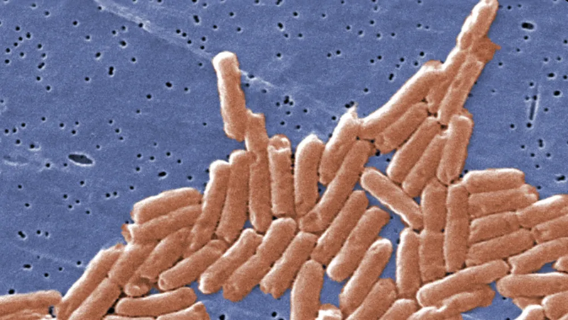 58 người sốt cao, tiêu chảy nhập viện cấp cứu, thủ phạm đến từ 1 thứ trong bếp mọi gia đình, rửa đi rửa lại vẫn đầy vi khuẩn  - Ảnh 2.