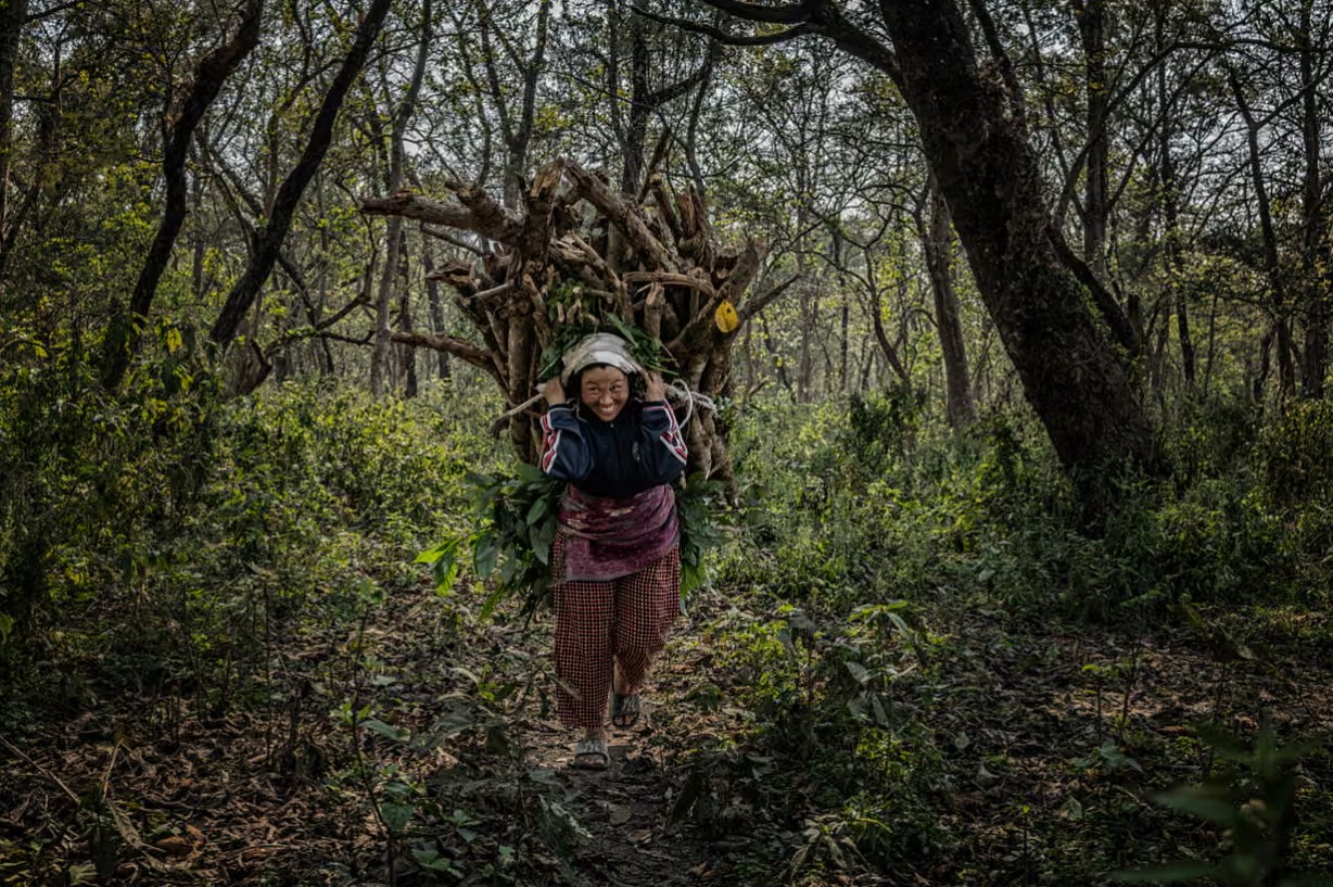 T&ecirc; gi&aacute;c đi ngang phố: Cuộc sống v&agrave; xung đột giữa con người v&agrave; động vật hoang d&atilde; - Ảnh 8.