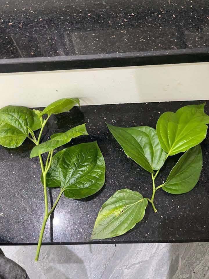 67542310013002656822046254950124665884533228n 112152 1776922578604 1776922578819204486122