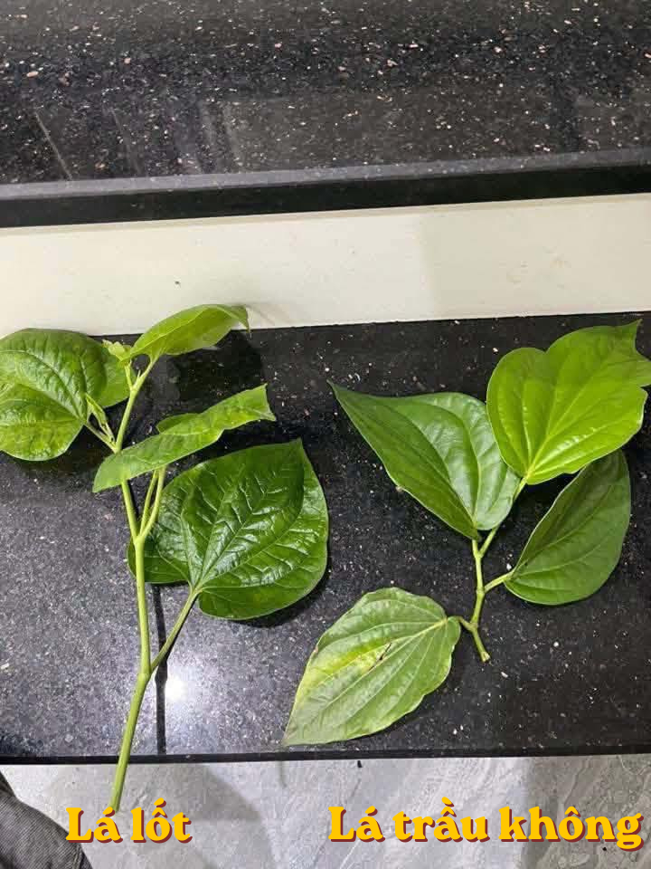 la lot 1 114044 1776922579453 1776922579607457762015