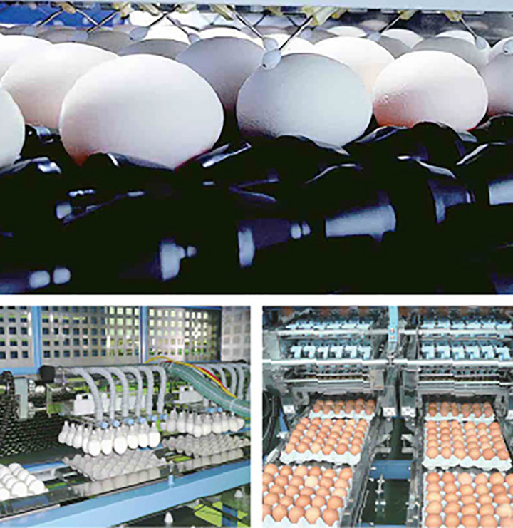 pic03 1 11095338 1776932053981 1776932054192188086848