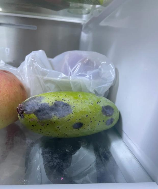 Đừng nh&eacute;t 7 thứ n&agrave;y v&agrave;o tủ lạnh nữa: C&agrave;ng bảo quản c&agrave;ng mất tiền oan- Ảnh 3.