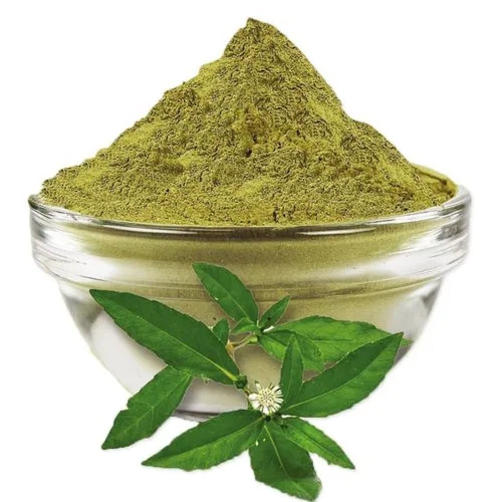 Loại c&acirc;y chống rụng t&oacute;c, k&iacute;ch th&iacute;ch mọc t&oacute;c cực đỉnh, giảm cả mỡ m&aacute;u: Mọc dại đầy Việt Nam - Ảnh 2.