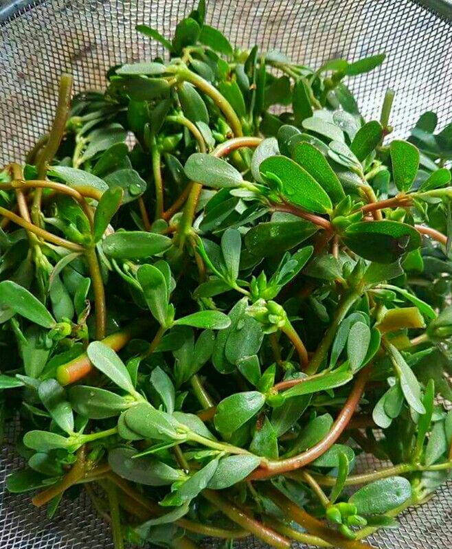 4c48ff0c3eb17698fff5cb8a21035991 144111 1777106654736 1777106655082881524229