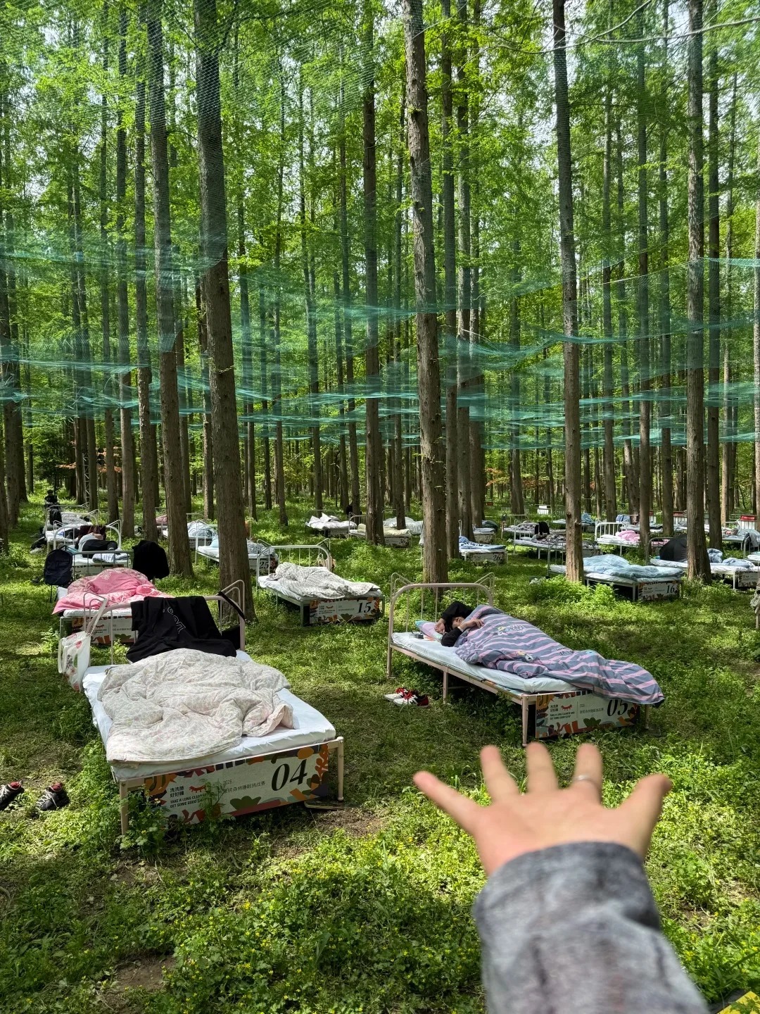 Cuộc thi ngủ trong rừng: Trải nghiệm độc đ&aacute;o, thưởng hấp dẫn - Ảnh 2.