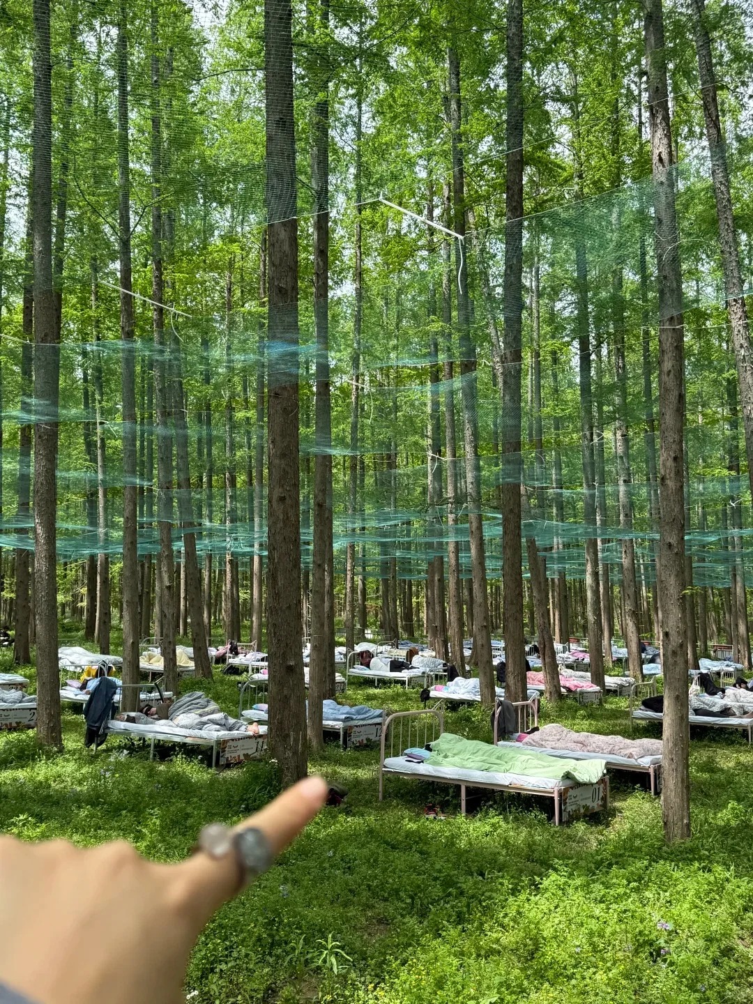 Cuộc thi ngủ trong rừng: Trải nghiệm độc đ&aacute;o, thưởng hấp dẫn - Ảnh 1.