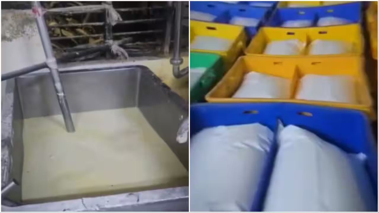 Đột k&iacute;ch nh&agrave; m&aacute;y sản xuất sữa giả: B&ecirc; bối an to&agrave;n thực phẩm năm 2026 - Ảnh 1.