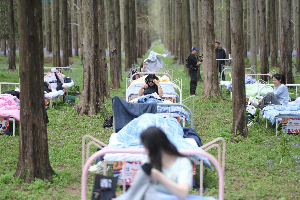 Cuộc thi ngủ trong rừng: Trải nghiệm độc đ&aacute;o, thưởng hấp dẫn - Ảnh 6.