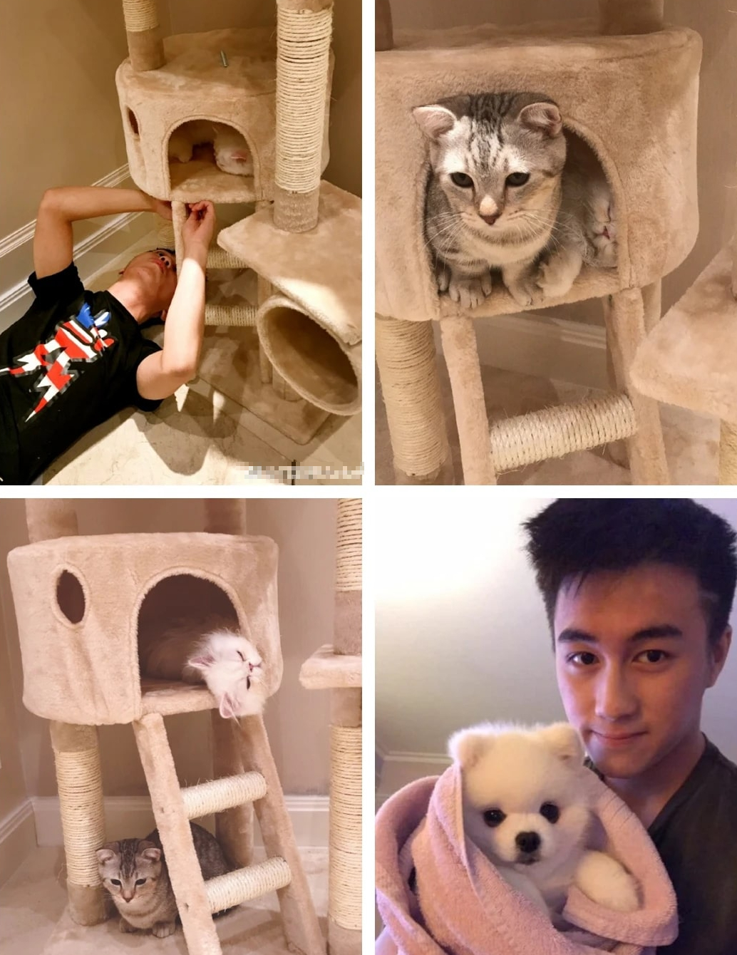 &ldquo;Thi&ecirc;n thần sa ng&atilde;&rdquo; lấy con trai &ocirc;ng tr&ugrave;m s&ograve;ng bạc: 1 bước th&agrave;nh d&acirc;u h&agrave;o m&ocirc;n, nh&igrave;n kh&ocirc;ng gian sống hiện tại mới thấy đời sang trang thật rồi- Ảnh 13.