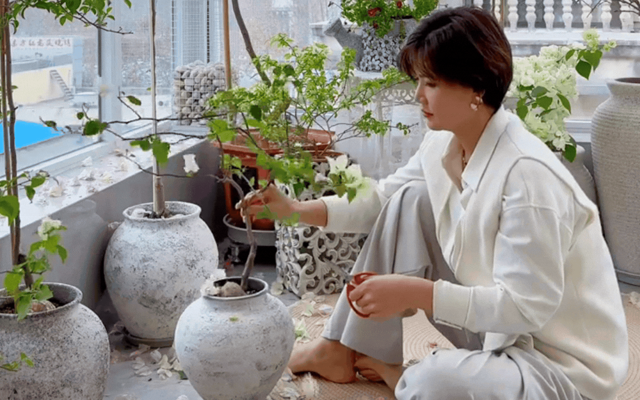 Cắt tỉa c&agrave;ng "bạo tay", hoa nở c&agrave;ng rực rỡ: B&iacute; quyết h&ocirc; biến ban c&ocirc;ng th&agrave;nh vườn hoa giấy đẹp như mộng từ chuy&ecirc;n gia- Ảnh 2.