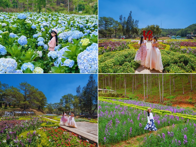 Gallery - Tin rất vui: Đúng ngày 1/5, nhiều người Việt Nam được miễn phí một dịch vụ