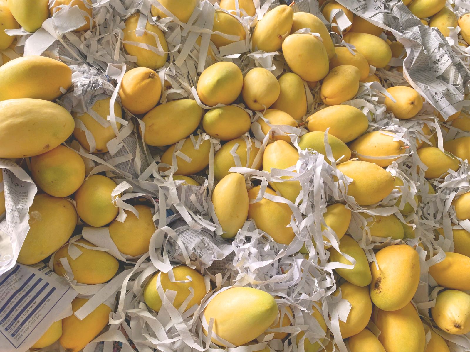 Kỳ lạ loại quả nhiều đường bậc nhất nhưng lại gi&uacute;p ngừa tiểu đường, ph&ograve;ng cả ung thư: Việt Nam rất sẵn - Ảnh 2.