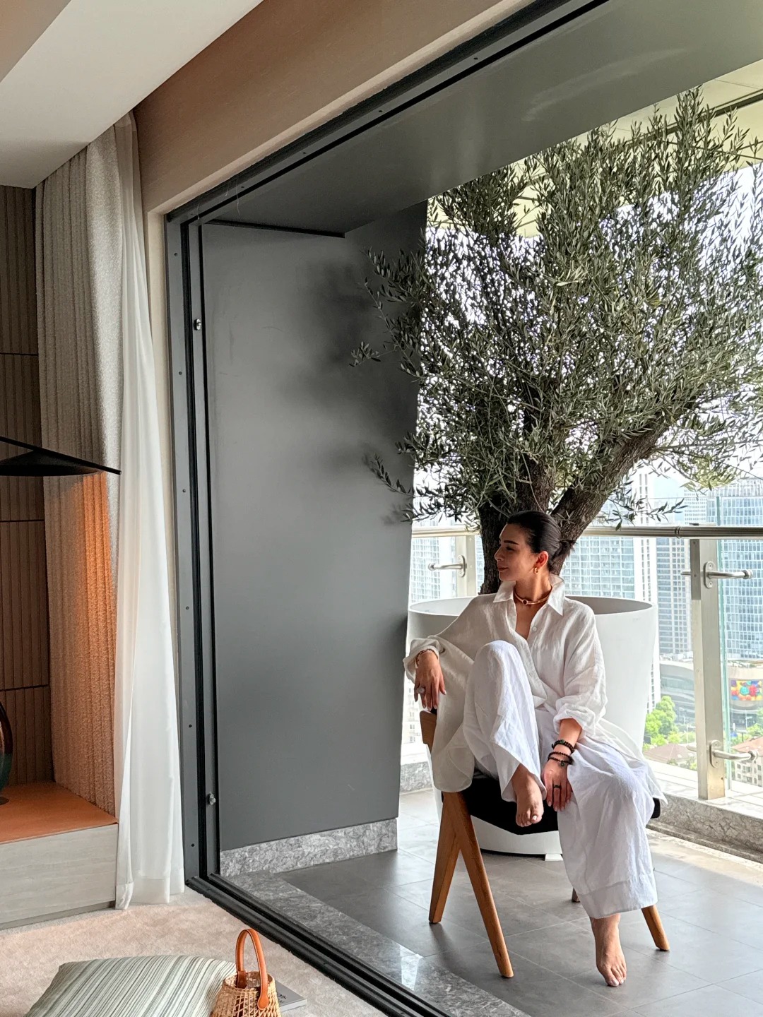 Giới thượng lưu m&ecirc; mẩn &ocirc; liu cổ thụ v&agrave; nghệ thuật chăm s&oacute;c c&acirc;y - Ảnh 1.