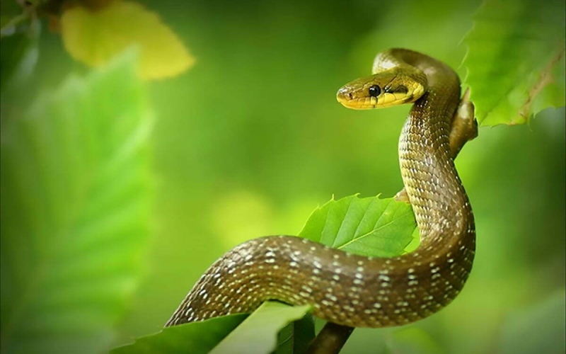 Top 4 con gi&aacute;p bất ngờ gi&agrave;u c&oacute; trong th&aacute;ng 5- Ảnh 4.