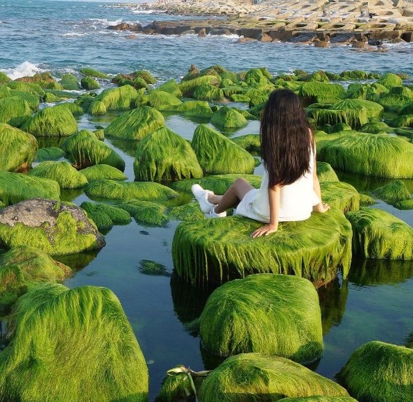 Kh&aacute;m ph&aacute; vẻ đẹp tuyệt vời của Ph&uacute; Y&ecirc;n trong năm 2026 - Ảnh 6.