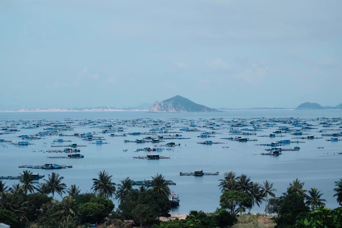 Kh&aacute;m ph&aacute; vẻ đẹp tuyệt vời của Ph&uacute; Y&ecirc;n trong năm 2026 - Ảnh 7.