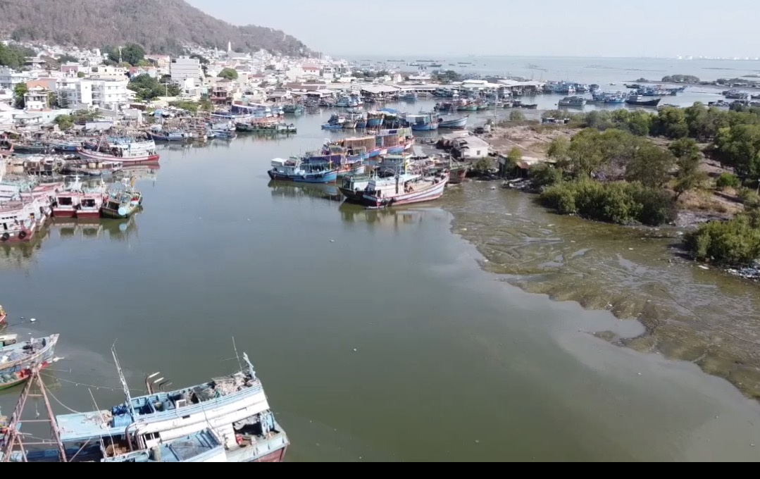 Điều chỉnh quy hoạch TP Vũng T&agrave;u cho dự &aacute;n đường vượt biển Cần Giờ - Vũng T&agrave;u - Ảnh 2.