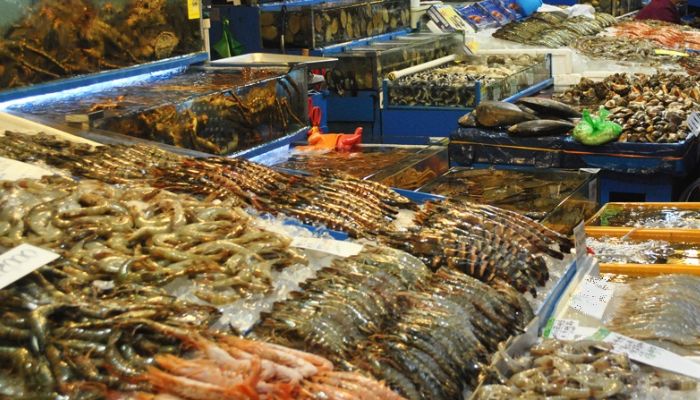 Nhà hàng Hồng Hạnh nổi tiếng Hạ Long ra thông báo quan trọng - Ảnh 4.