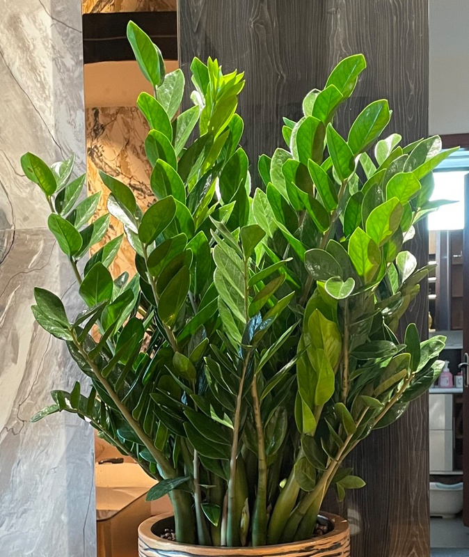 ee524353 4412 4af3 a694 16065d947efe 101735 1777434812258 17774348123881230152007