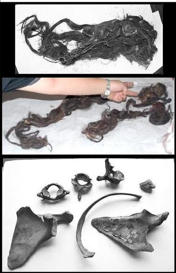 Hoàng đế Quang Tự gào thét đau đớn trước khi chết: 100 năm sau, manh mối hé lộ từ thứ duy nhất còn lại này - Ảnh 3.