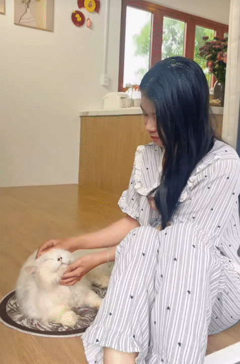 25 tuổi x&acirc;y nh&agrave; 70m&sup2; chỉ với 200 triệu ở Kh&aacute;nh H&ograve;a: Nh&igrave;n căn nh&agrave; nhỏ giữa s&acirc;n vườn, nhiều người kh&ocirc;ng tin nổi chi ph&iacute;- Ảnh 8.