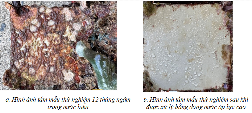 - Ảnh 2. - Ảnh 2.