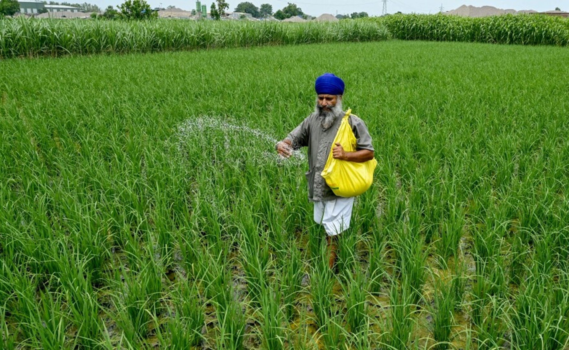 Gi&aacute; mặt h&agrave;ng quan trọng tăng sốc tới 83%, một quốc gia BRICS lập tức 'cầu cứu' từ Nga đến Việt Nam để nhập khẩu - Ảnh 1.