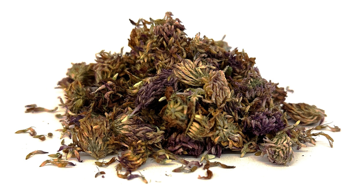 Loại c&acirc;y "h&uacute;t" vận may v&agrave;o nh&agrave;: L&agrave; thảo dược qu&yacute;, chứa cực nhiều protein - Ảnh 2.