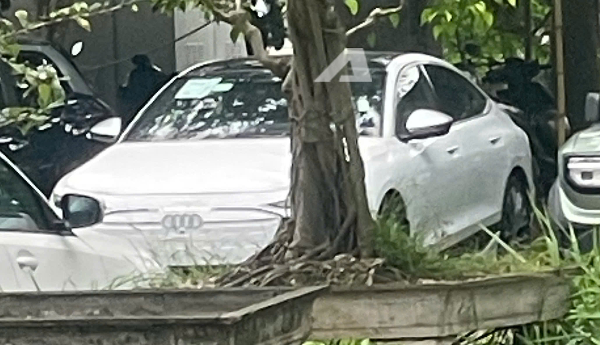 Audi S6 Sportback e-tron xuất hiện tại Việt Nam: Đèn LED điều chỉnh thiết kế theo ý chủ xe, nội thất 3 màn hình OLED, đi 600km/sạc- Ảnh 1. Audi S6 Sportback e-tron xuất hiện tại Việt Nam: Đèn LED điều chỉnh thiết kế theo ý chủ xe, nội thất 3 màn hình OLED, đi 600km/sạc- Ảnh 1.