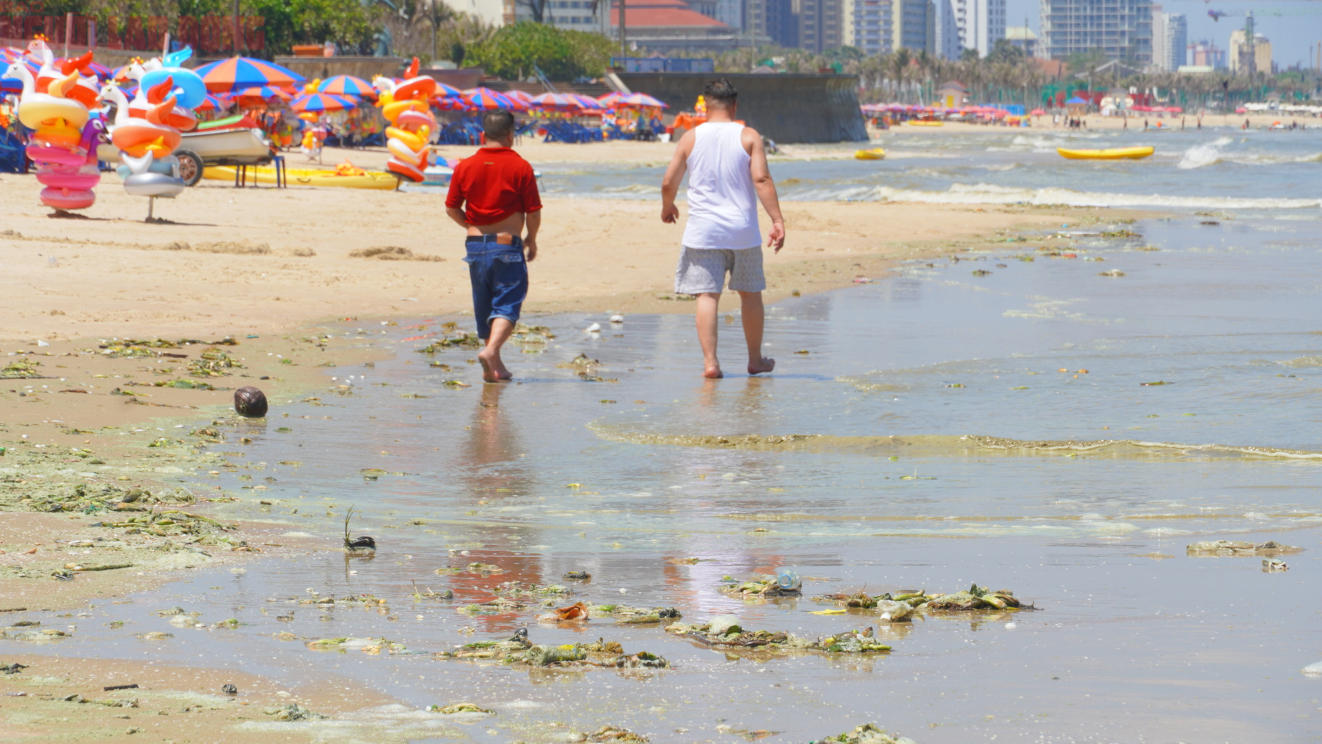 Biển B&atilde;i Sau Vũng T&agrave;u chuyển m&agrave;u xanh như matcha , du kh&aacute;ch lo ngại điều g&igrave;? - Ảnh 5.