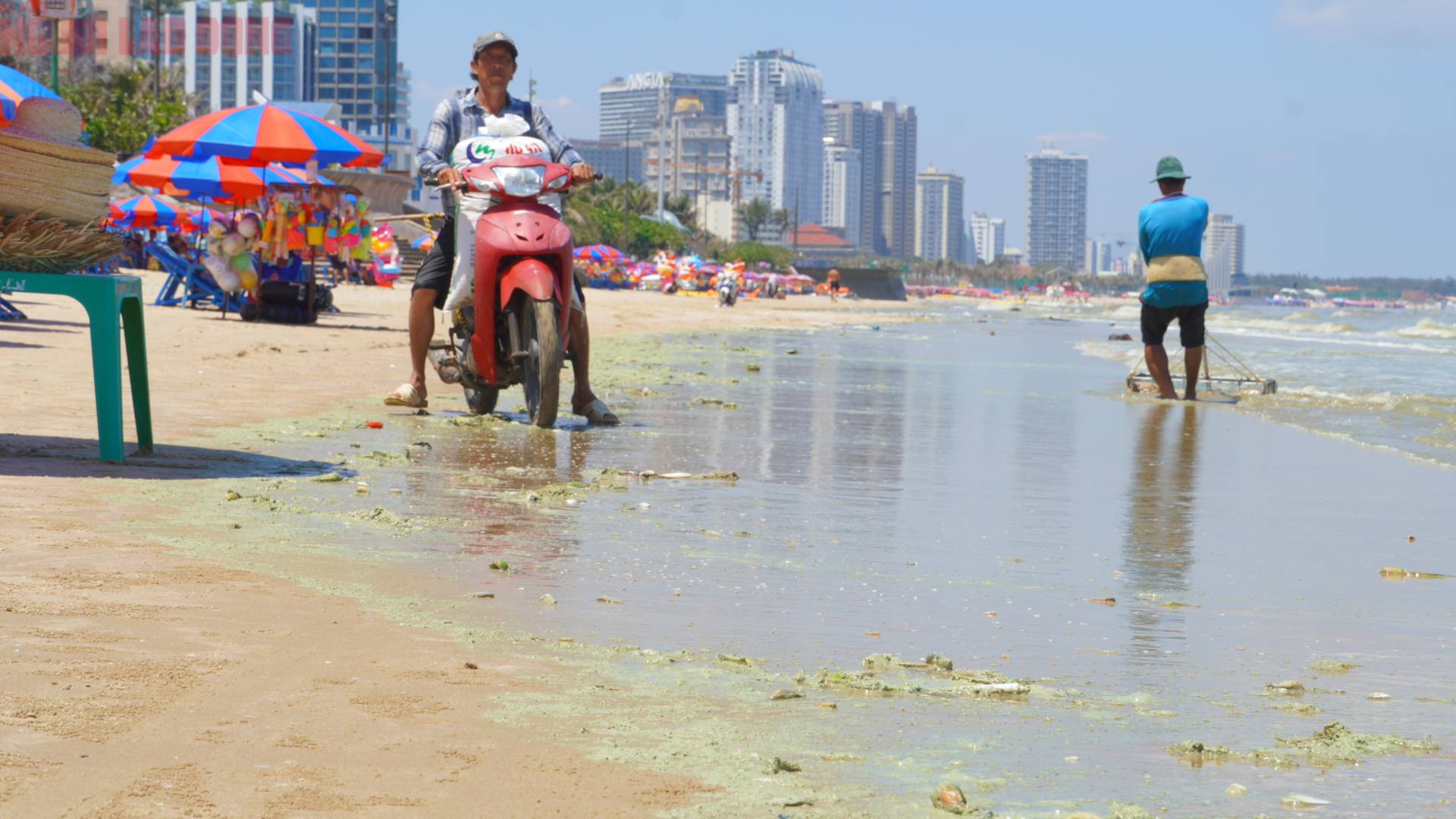 Biển B&atilde;i Sau Vũng T&agrave;u chuyển m&agrave;u xanh như matcha , du kh&aacute;ch lo ngại điều g&igrave;? - Ảnh 8.
