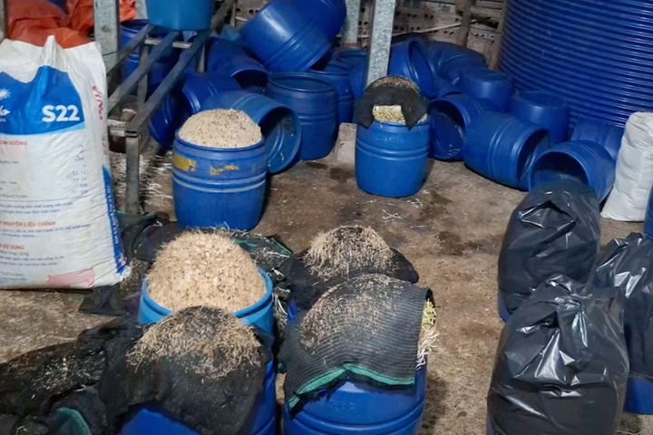 Khởi tố Chu Thị H&ograve;a về Vi phạm an to&agrave;n thực phẩm sử dụng h&oacute;a chất độc hại - Ảnh 2.