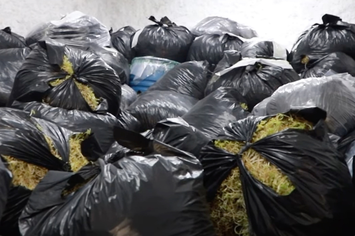 Khởi tố Chu Thị H&ograve;a về Vi phạm an to&agrave;n thực phẩm sử dụng h&oacute;a chất độc hại - Ảnh 3.