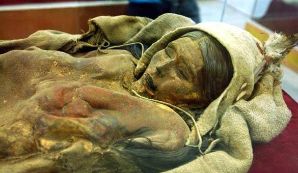 Khai quật x&aacute;c ướp "c&ocirc;ng ch&uacute;a ngủ trong rừng" 4.000 năm tuổi, chuy&ecirc;n gia gi&aacute;m định ADN ph&aacute;t hiện danh t&iacute;nh kh&ocirc;ng ngờ - Ảnh 1.