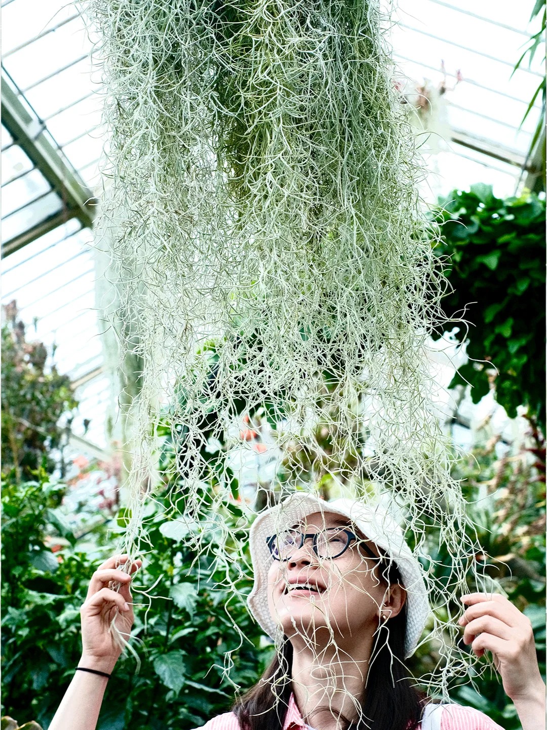 C&acirc;y kh&ocirc;ng kh&iacute;: Giải nhiệt m&ugrave;a h&egrave; kh&ocirc;ng cần đất - Ảnh 9.