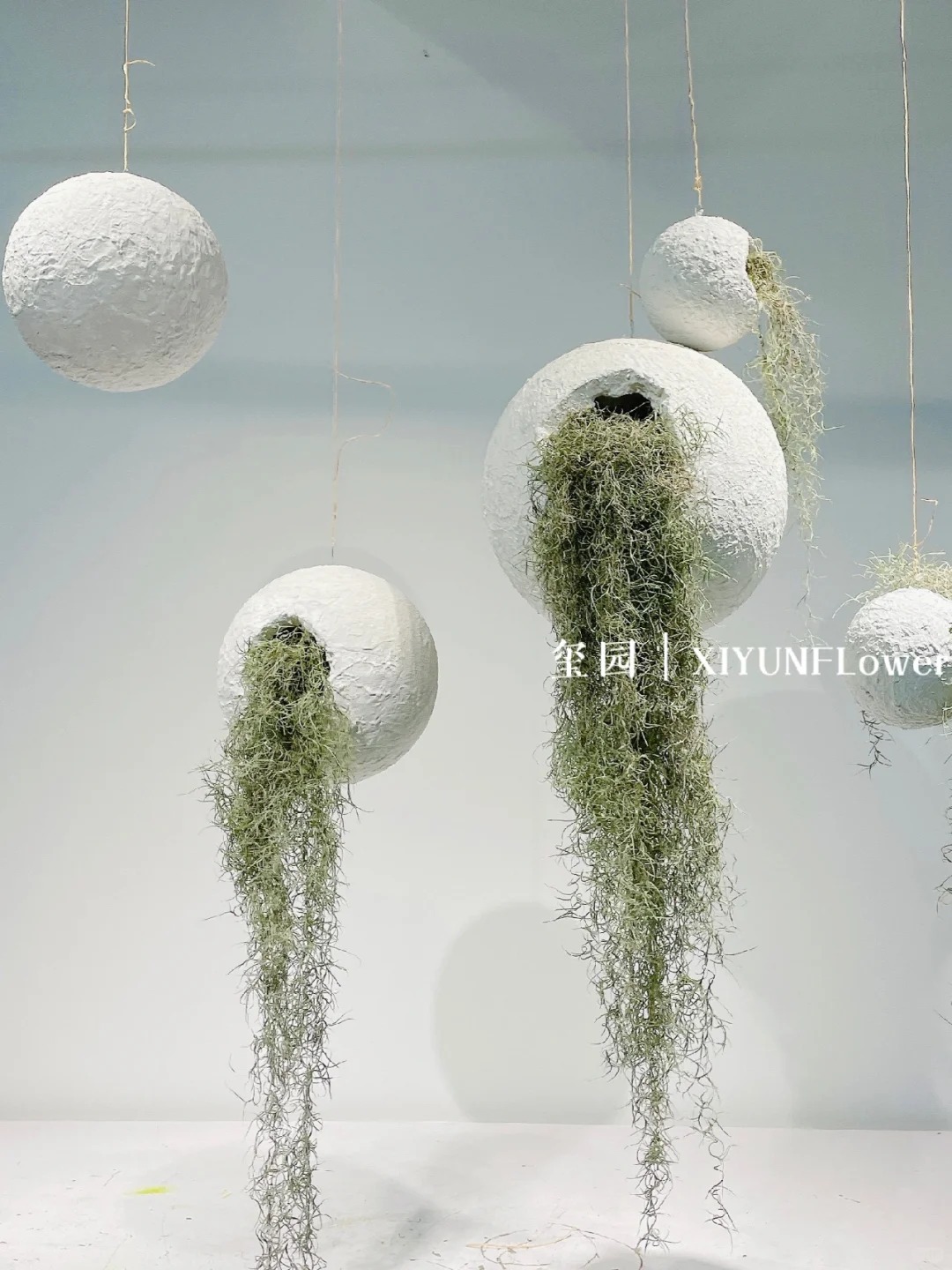 C&acirc;y kh&ocirc;ng kh&iacute;: Giải nhiệt m&ugrave;a h&egrave; kh&ocirc;ng cần đất - Ảnh 13.