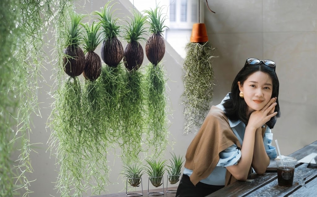 C&acirc;y kh&ocirc;ng kh&iacute;: Giải nhiệt m&ugrave;a h&egrave; kh&ocirc;ng cần đất - Ảnh 1.