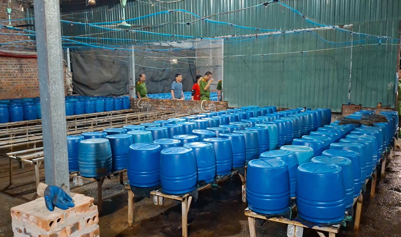 Cận cảnh bên trong cơ sở sản xuất hơn 500 tấn giá đỗ có sử dụng chất độc hại - Ảnh 2.