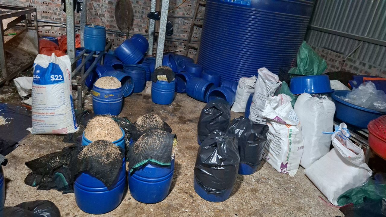 Cận cảnh bên trong cơ sở sản xuất hơn 500 tấn giá đỗ có sử dụng chất độc hại - Ảnh 3.