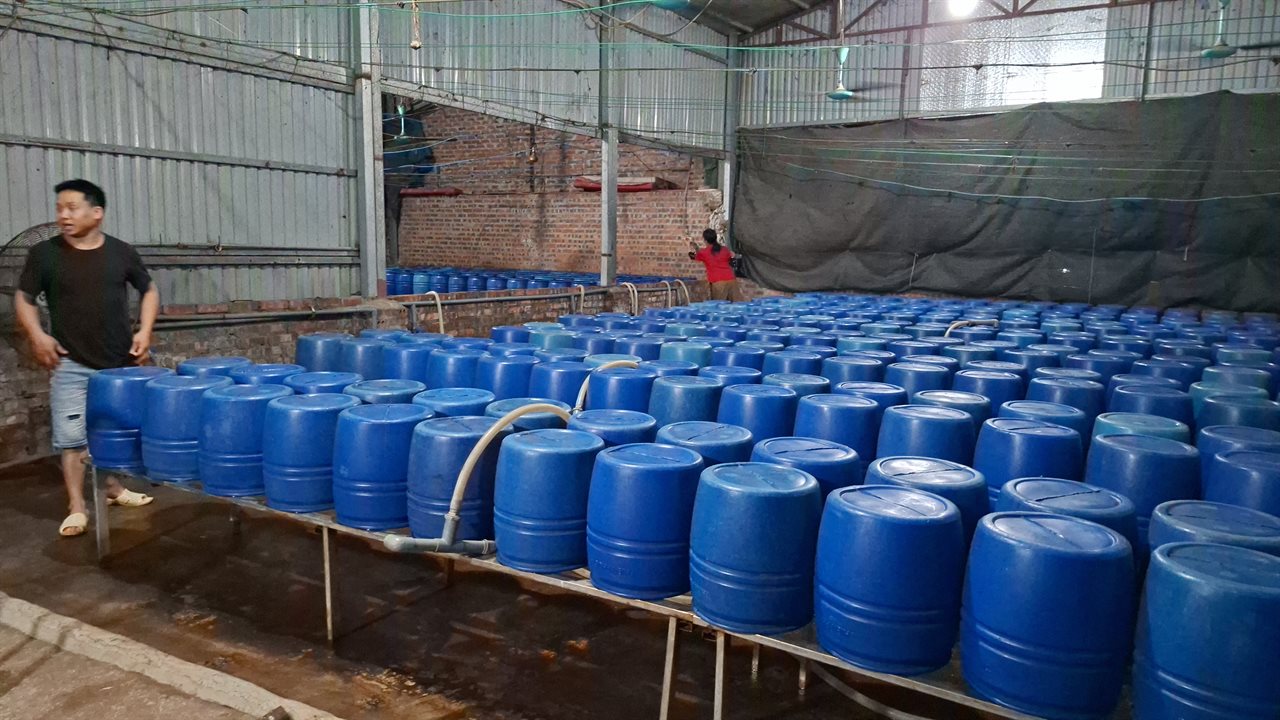 Cận cảnh bên trong cơ sở sản xuất hơn 500 tấn giá đỗ có sử dụng chất độc hại - Ảnh 6.