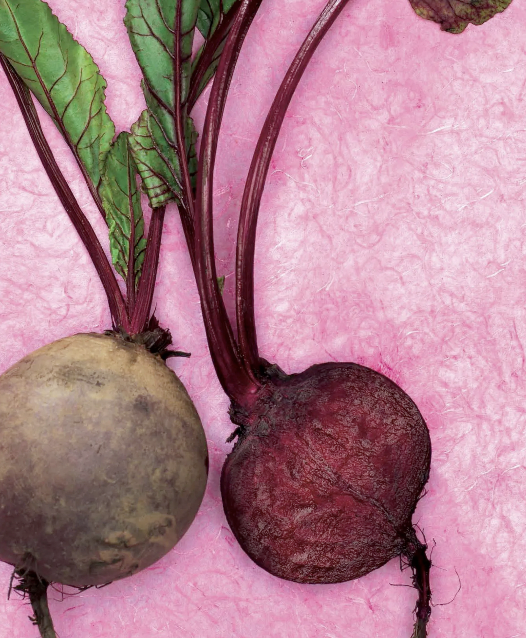 screenshot 2026 04 05 at 104404 1775366467309 17753664678651246282072