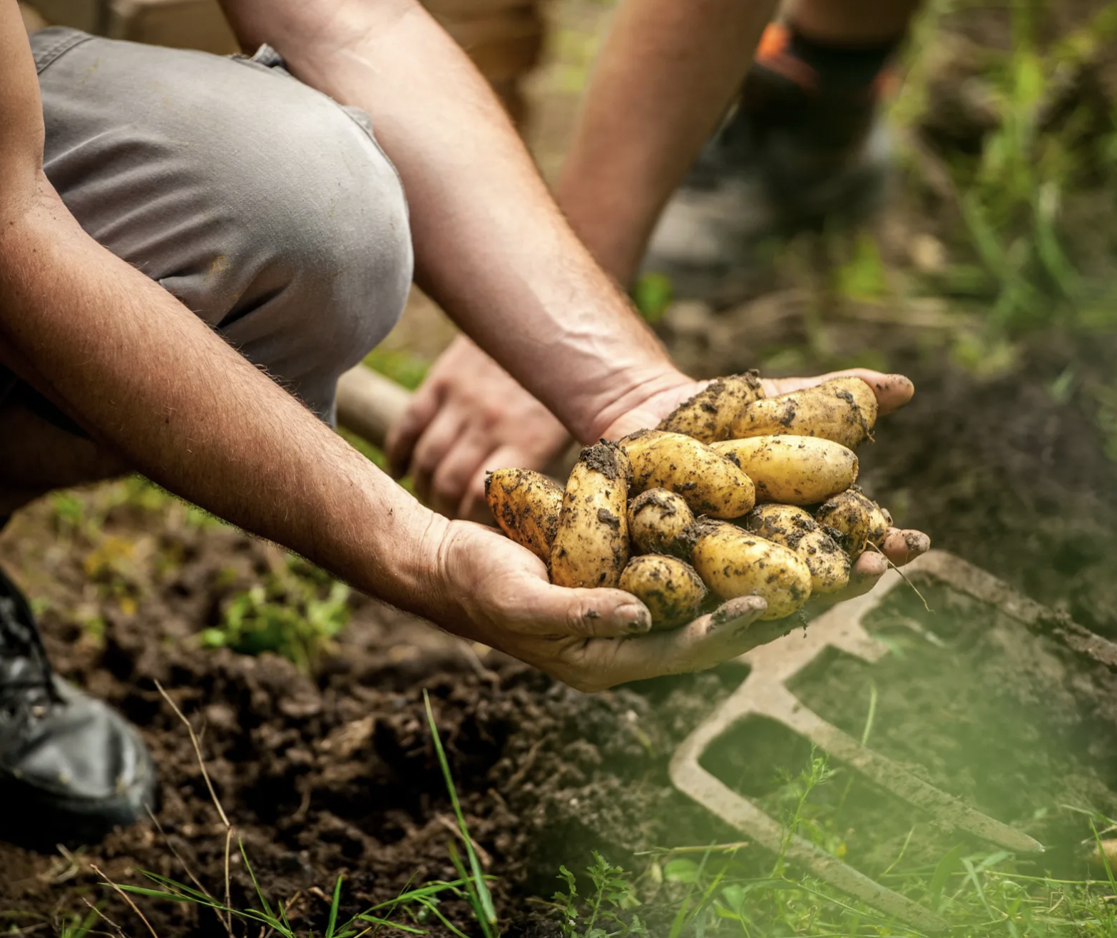 screenshot 2026 04 05 at 104411 1775366469374 1775366469689216270445