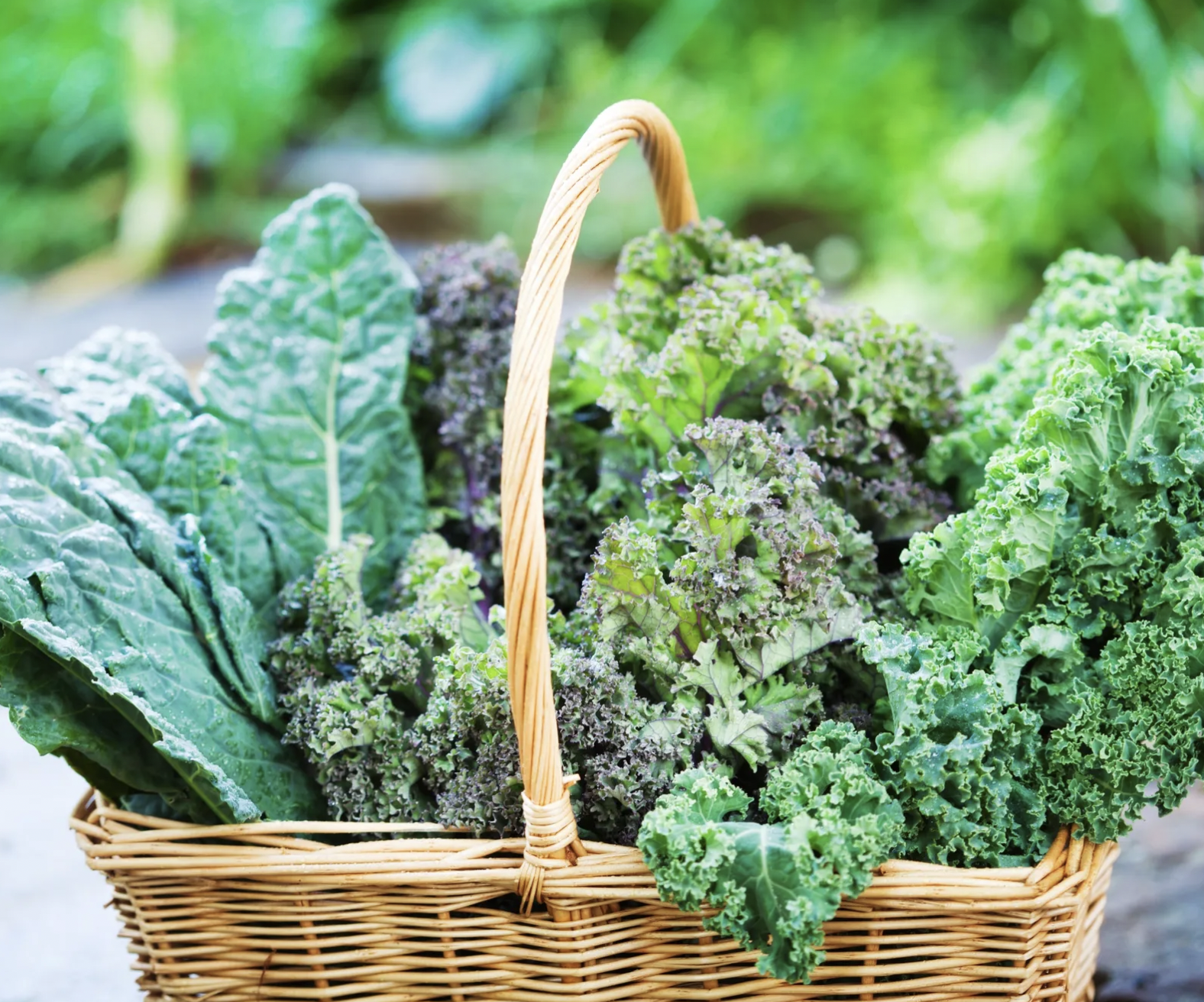 screenshot 2026 04 05 at 104418 1775366470748 1775366470938477703391