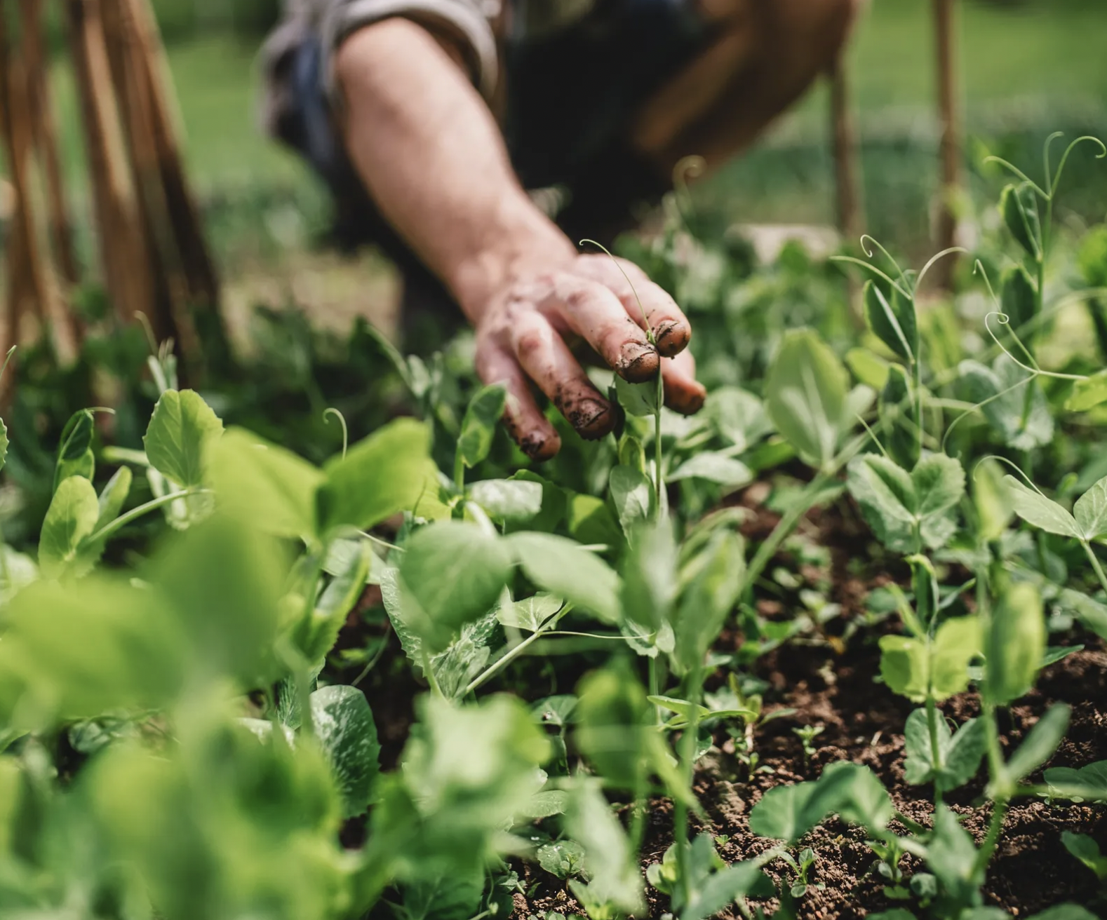 screenshot 2026 04 05 at 104425 1775366471854 17753664720411952313044