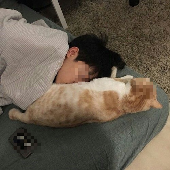 Cậu b&eacute; 14 tuổi gần như m&ugrave; l&ograve;a v&igrave; ngủ chung với ch&oacute; m&egrave;o - Ảnh 3.