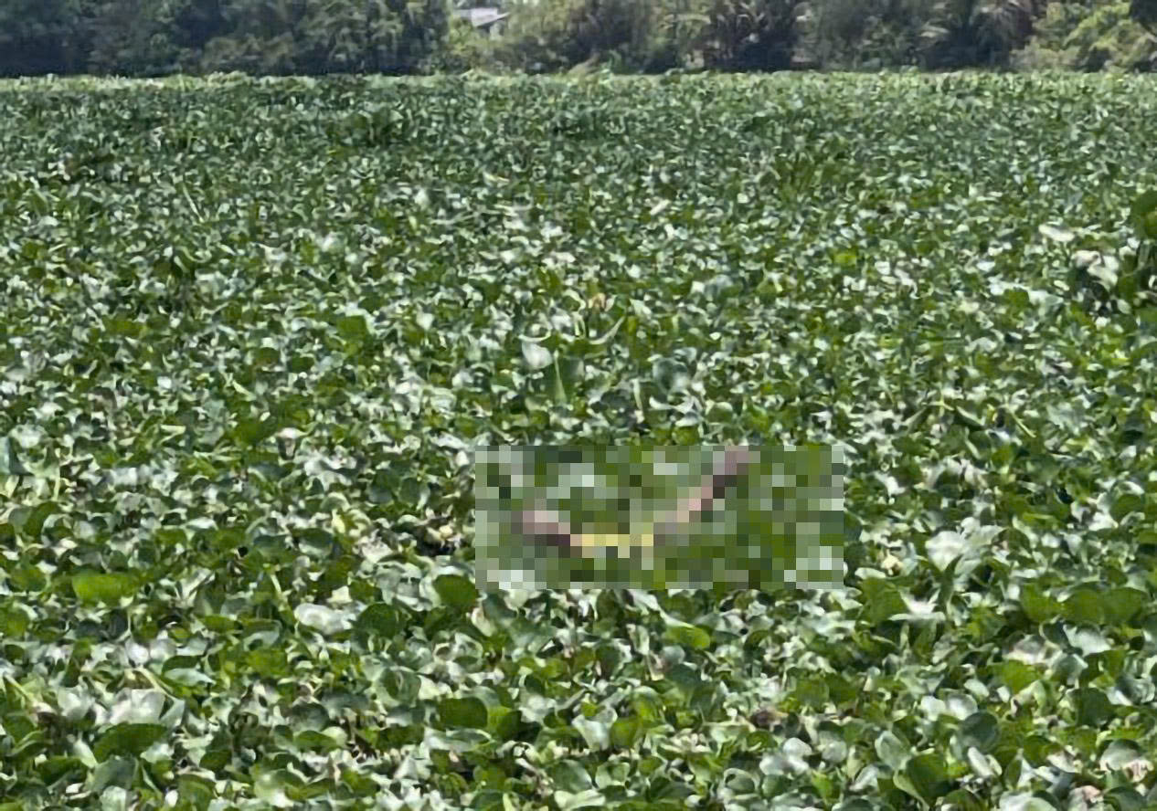 B&agrave;ng ho&agrave;ng ph&aacute;t hiện thi thể 2 trẻ nhỏ đuối nước tr&ecirc;n s&ocirc;ng V&agrave;m Cỏ T&acirc;y - Ảnh 1.