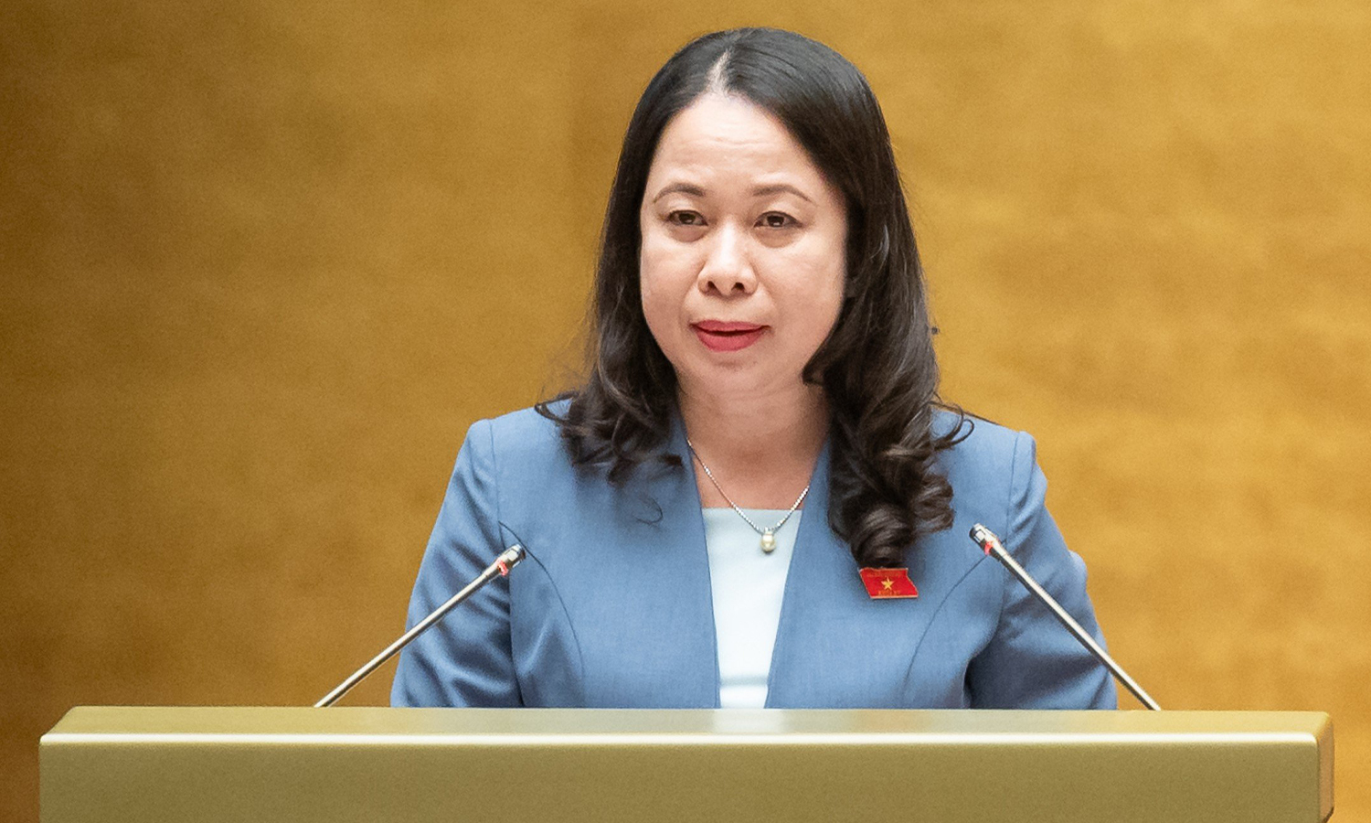 Ph&oacute; Chủ tịch nước V&otilde; Thị &Aacute;nh Xu&acirc;n t&aacute;i đắc cử nhiệm kỳ 2026 - 2031 - Ảnh 1.