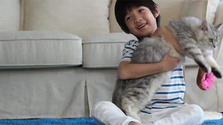 Cậu bé gần như mất thị lực vĩnh viễn do thói quen ôm mèo mà không rửa tay 19 om meo 10100614 1775561280409 17755612808121670669708