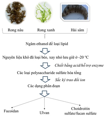- Ảnh 1. - Ảnh 1.